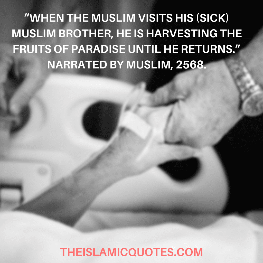 Sunnah to follow in daily life (24)