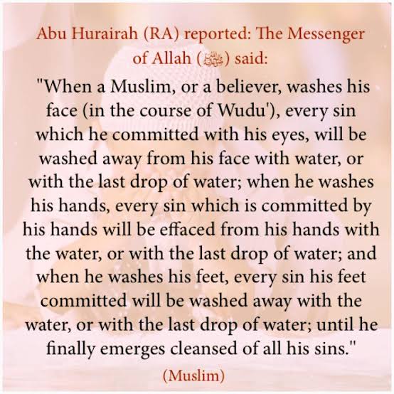 Sunnah to follow in daily life (29)