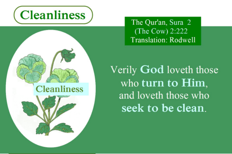Islamic Hadith on Health and Hygiene (8)