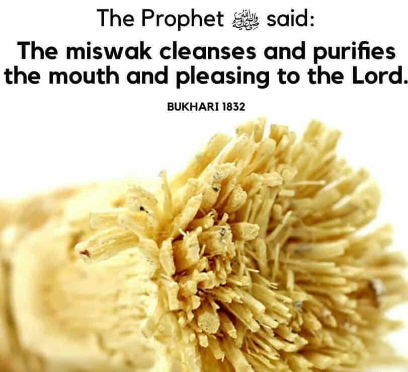 Islamic Hadith on Health and Hygiene (2)