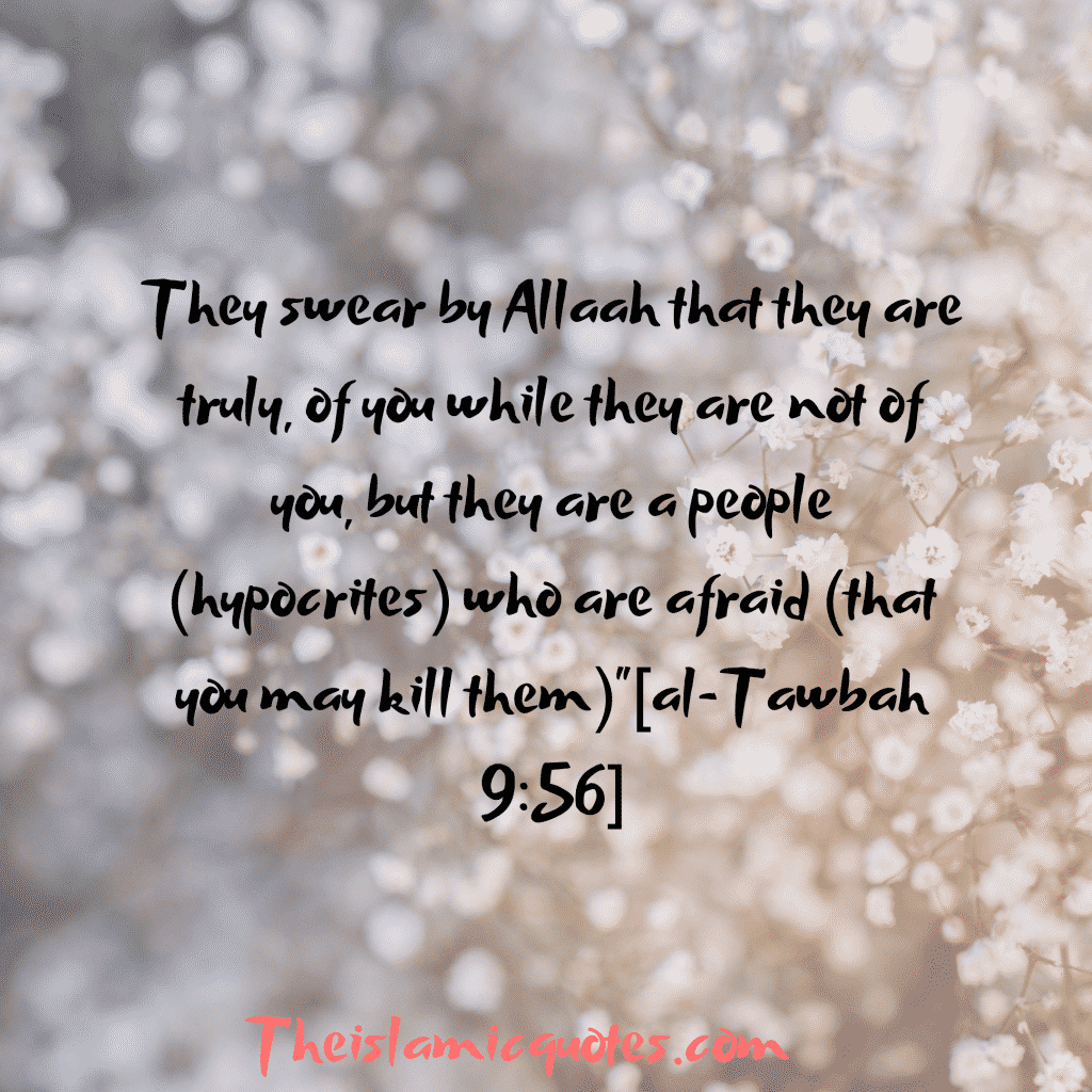 Hypocrisy in Islam quotes (10)