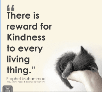 Kindness In Islam - 10 Best Islamic Quotes on Kindness  