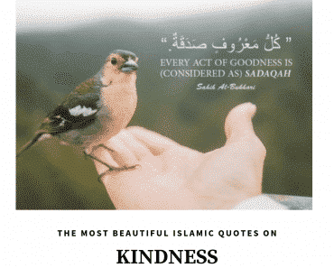 Kindness In Islam - 10 Best Islamic Quotes on Kindness  