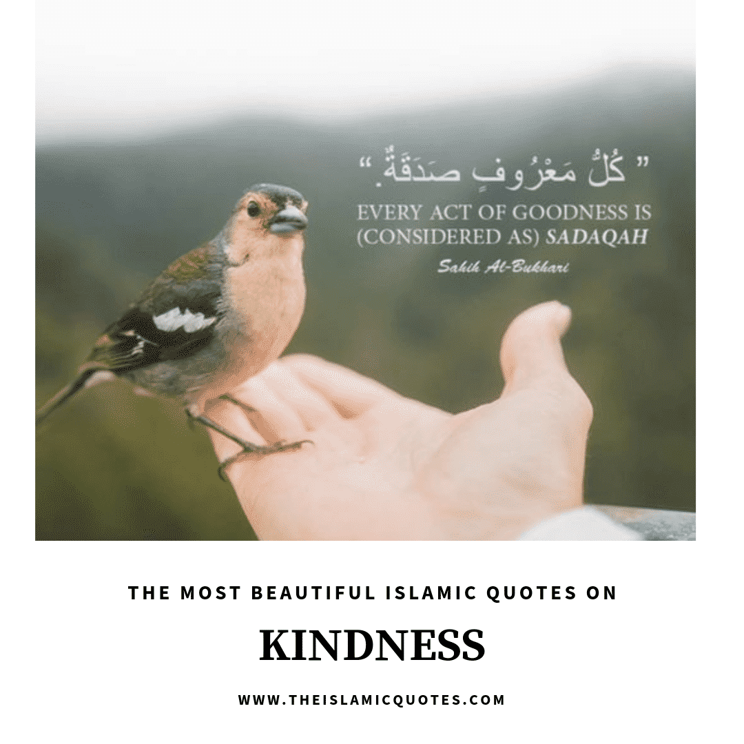 Kindness In Islam - 10 Best Islamic Quotes on Kindness  