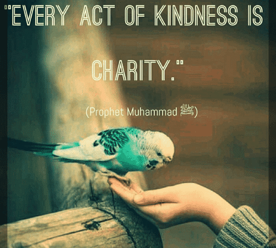 Kindness In Islam - 10 Best Islamic Quotes on Kindness  