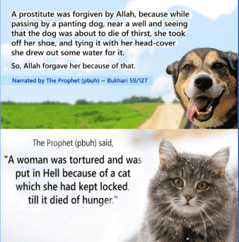Islamic Quotes on Kindness (2)
