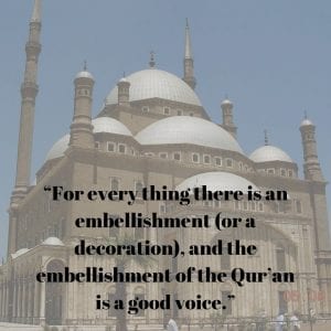 What Did The Holy Prophet Say About The Quran?