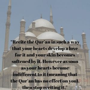 What Did The Holy Prophet Say About The Quran?