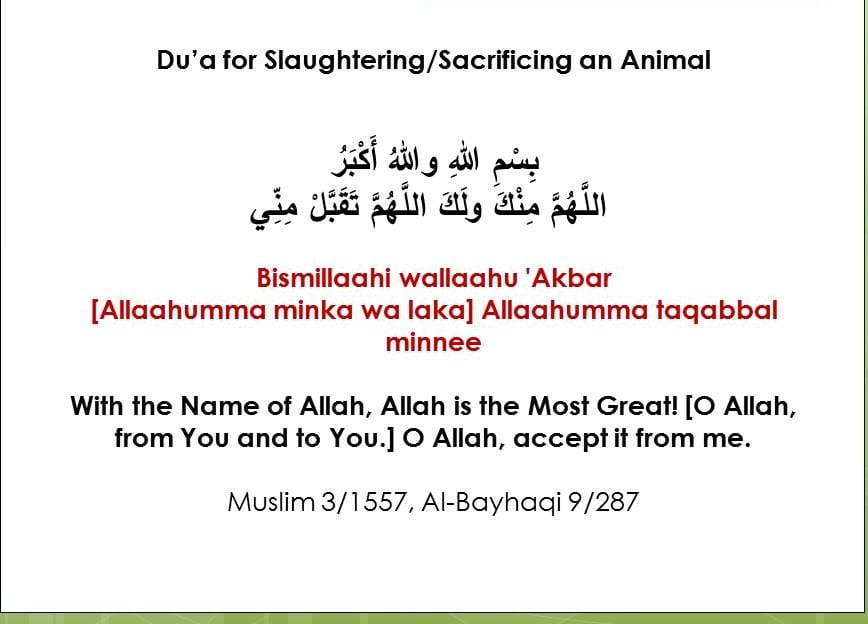 eid sunnah acts