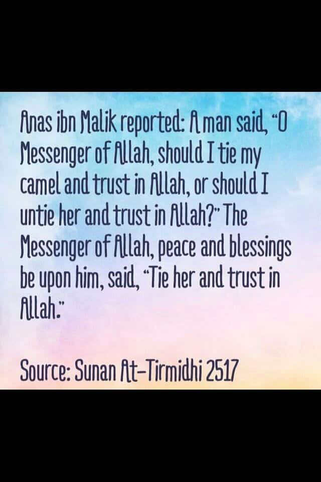 fate and destiny in islam