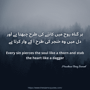 Islamic quotes by maulana tariq jameel