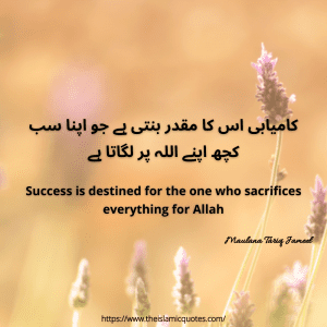 Islamic quotes by maulana tariq jameel