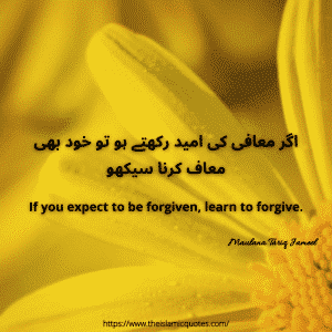 Islamic quotes by maulana tariq jameel