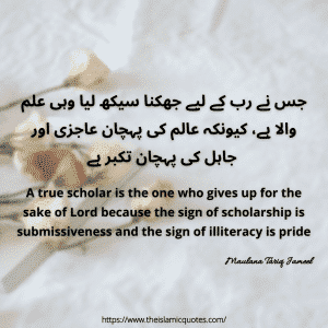 25 Heart Touching Islamic Quotes by Maulana Tariq Jameel  