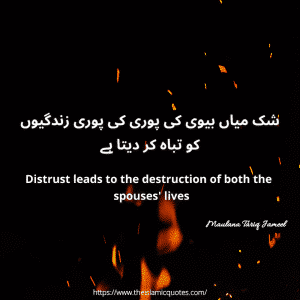 Islamic quotes by maulana tariq jameel