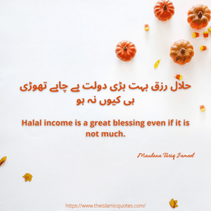 Islamic quotes by maulana tariq jameel