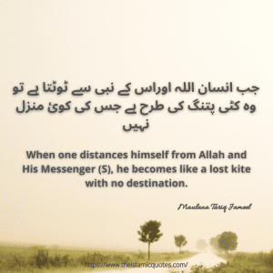 Islamic quotes by maulana tariq jameel