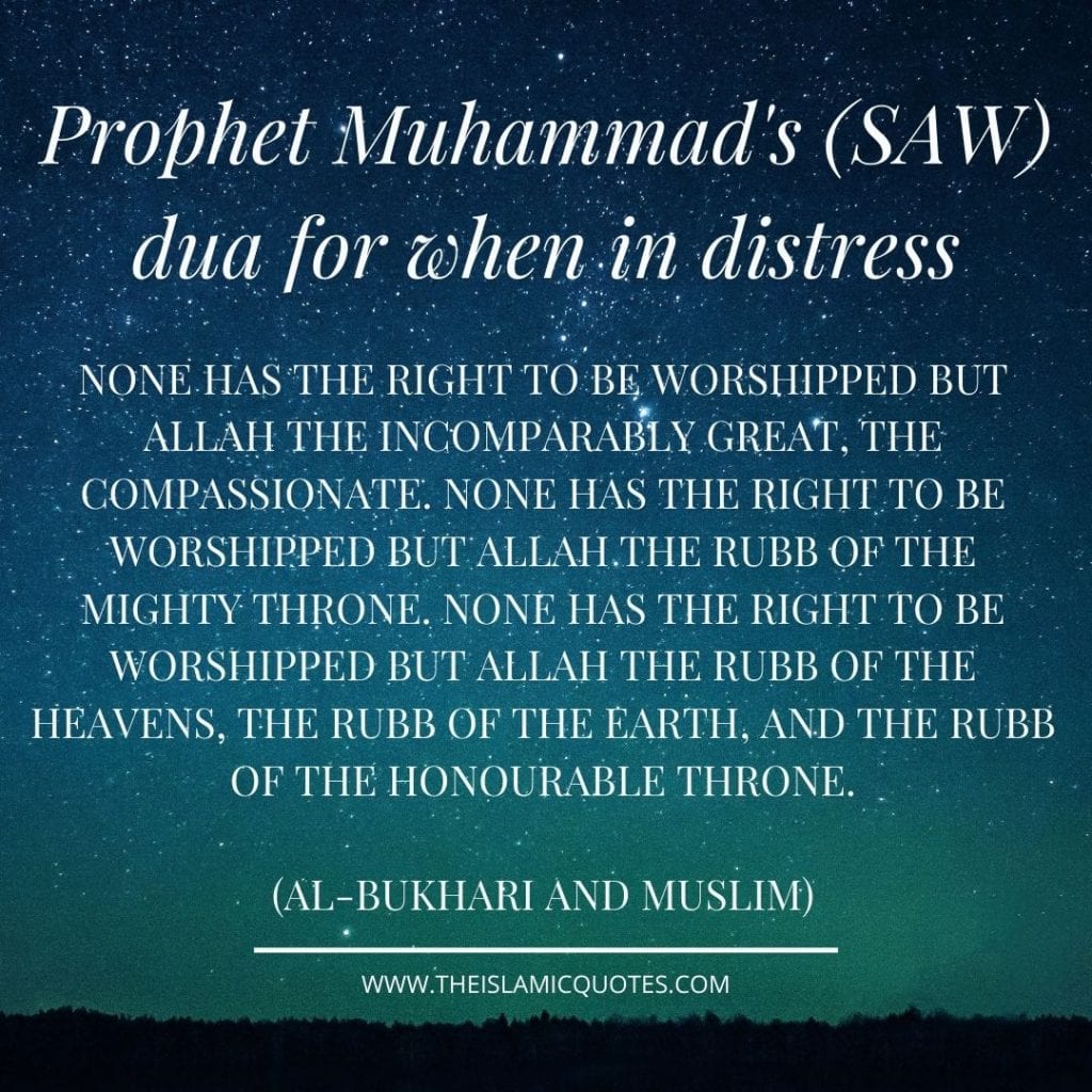 Duas of the Prophets 10 Duas for all Situations in Life