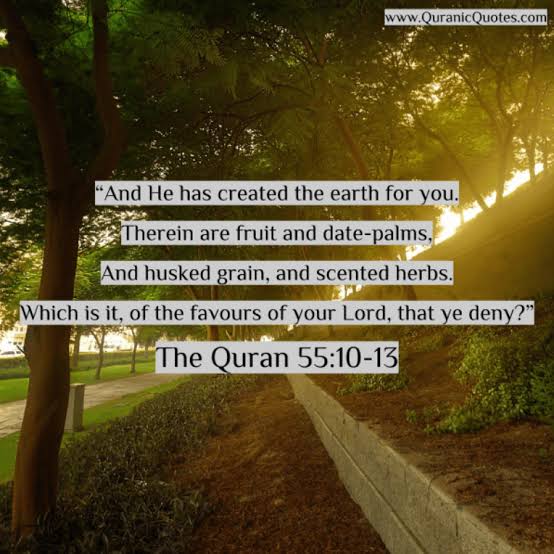 Surah Rehman Summary- 10 Lessons & Benefits of Surah Rehman