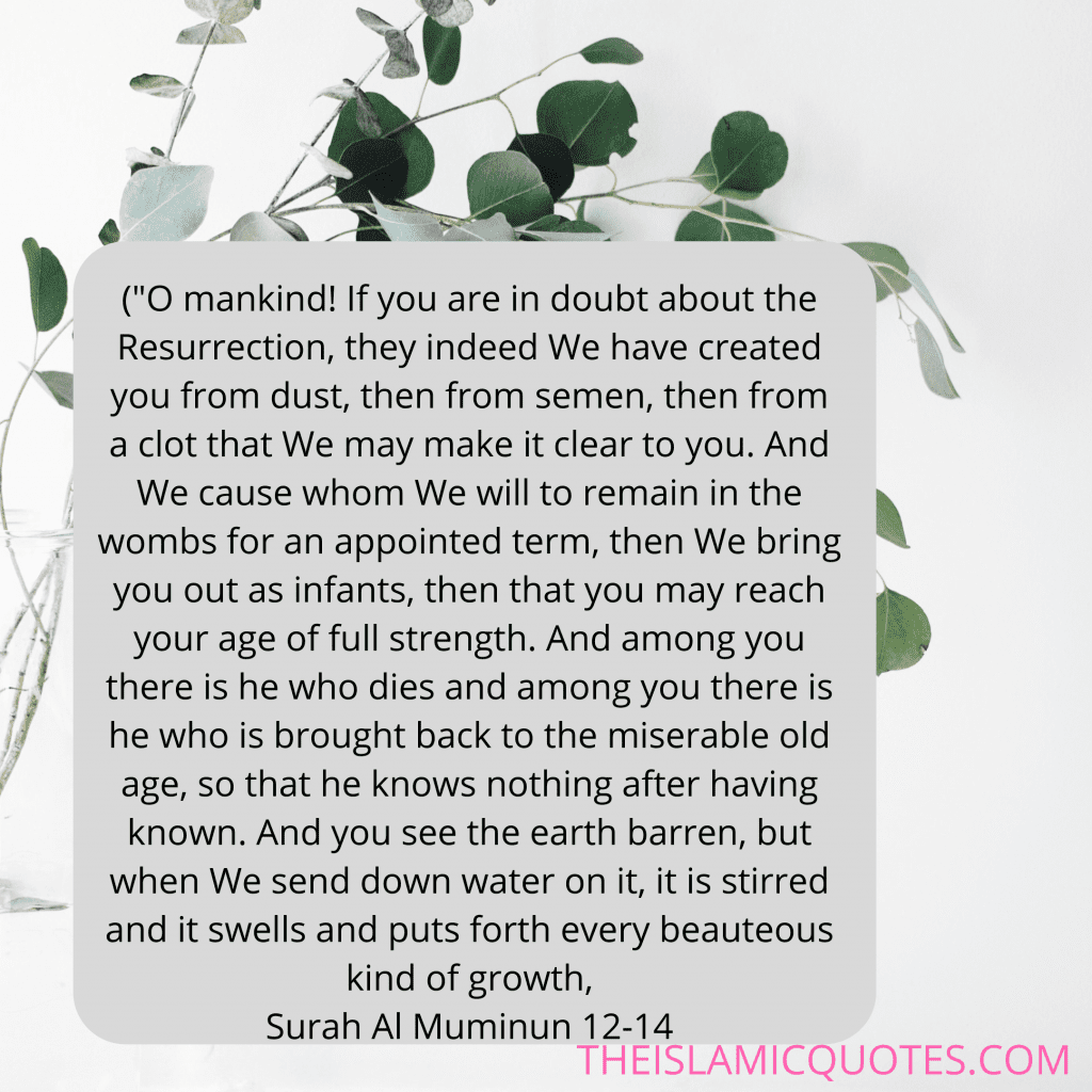 Surah Rehman Summary- 10 Lessons & Benefits of Surah Rehman