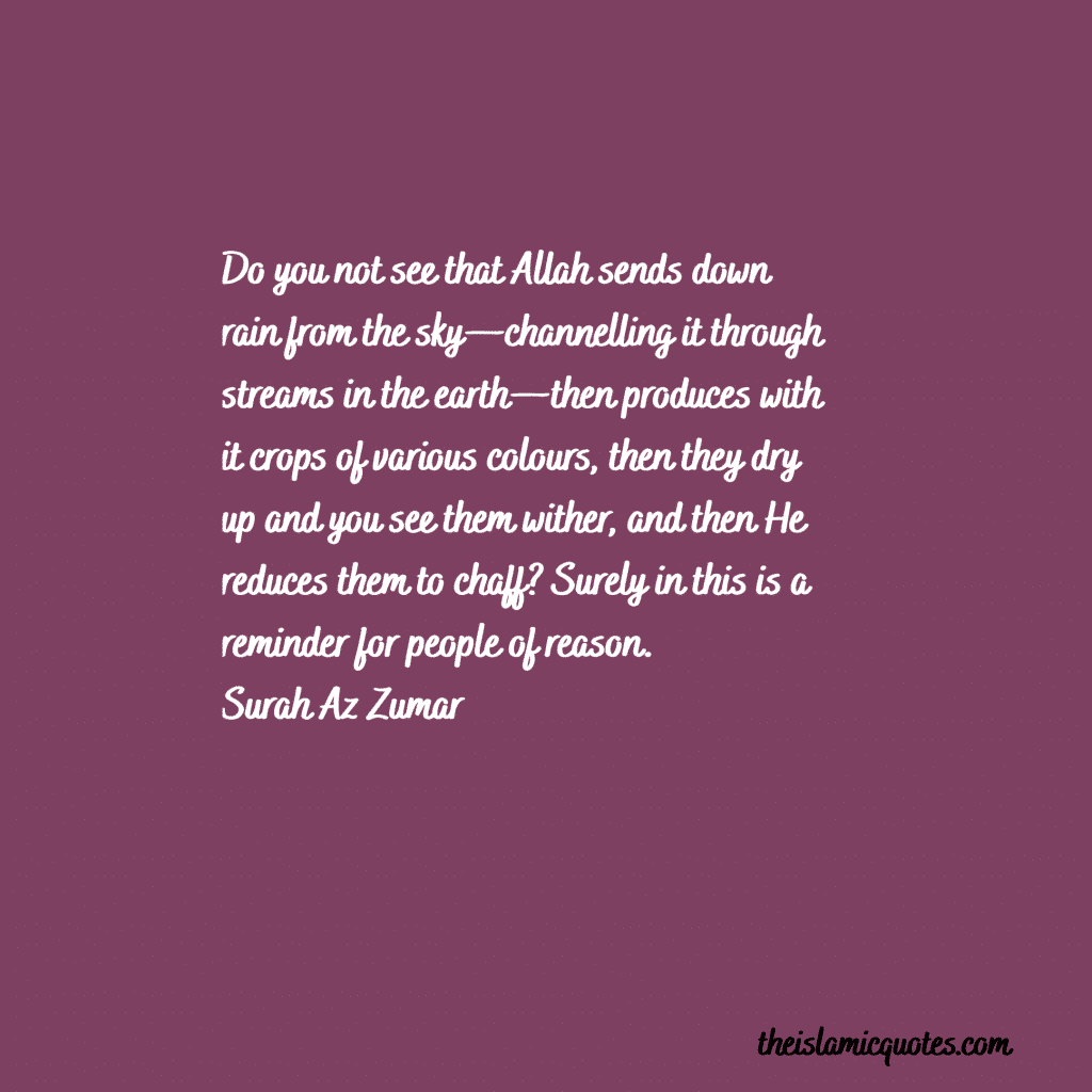 Surah Rehman Summary- 10 Lessons & Benefits of Surah Rehman