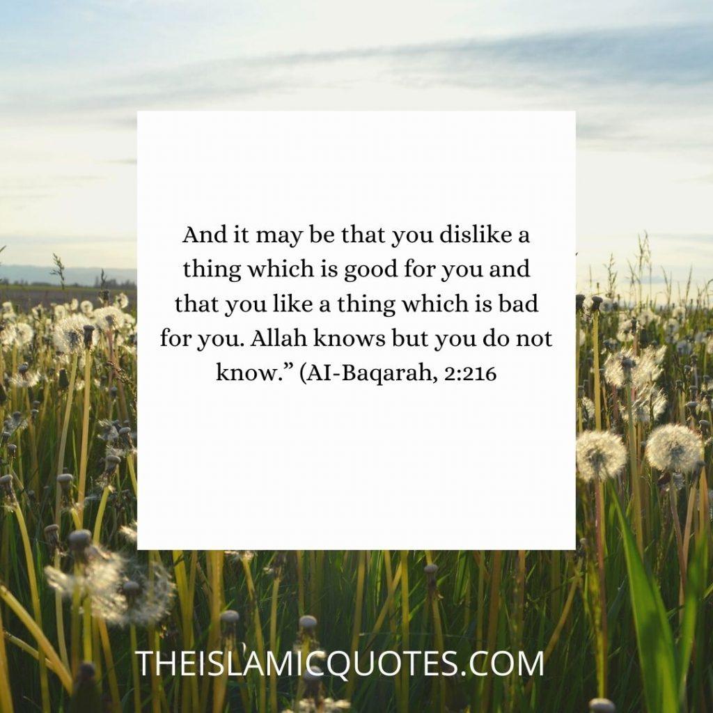 7 Quotes That Prove Allah is The Best Planner of All Affairs  