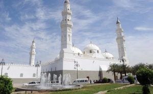 8 Best Things to do in Medina for a Memorable Trip  