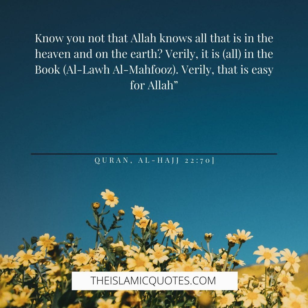 7 Quotes That Prove Allah is The Best Planner of All Affairs  