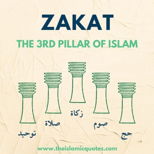 Zakat In Islam - Its Importance, Eligibility & Calculation  