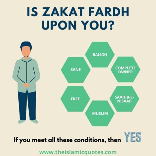 Zakat In Islam - Its Importance, Eligibility & Calculation  