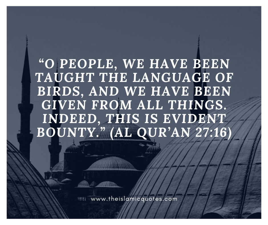 lessons from story of prophet solaiman