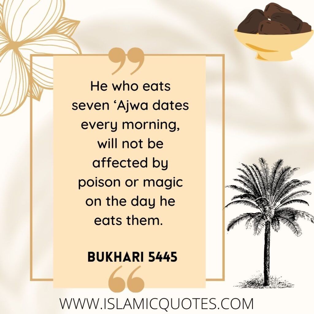Prophet Muhammad's Favorite Food