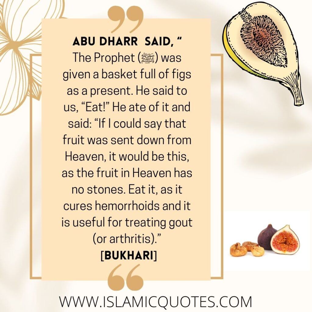 15 of Prophet Muhammad's Favorite Food Items & Their Benefits  's Favorite Food