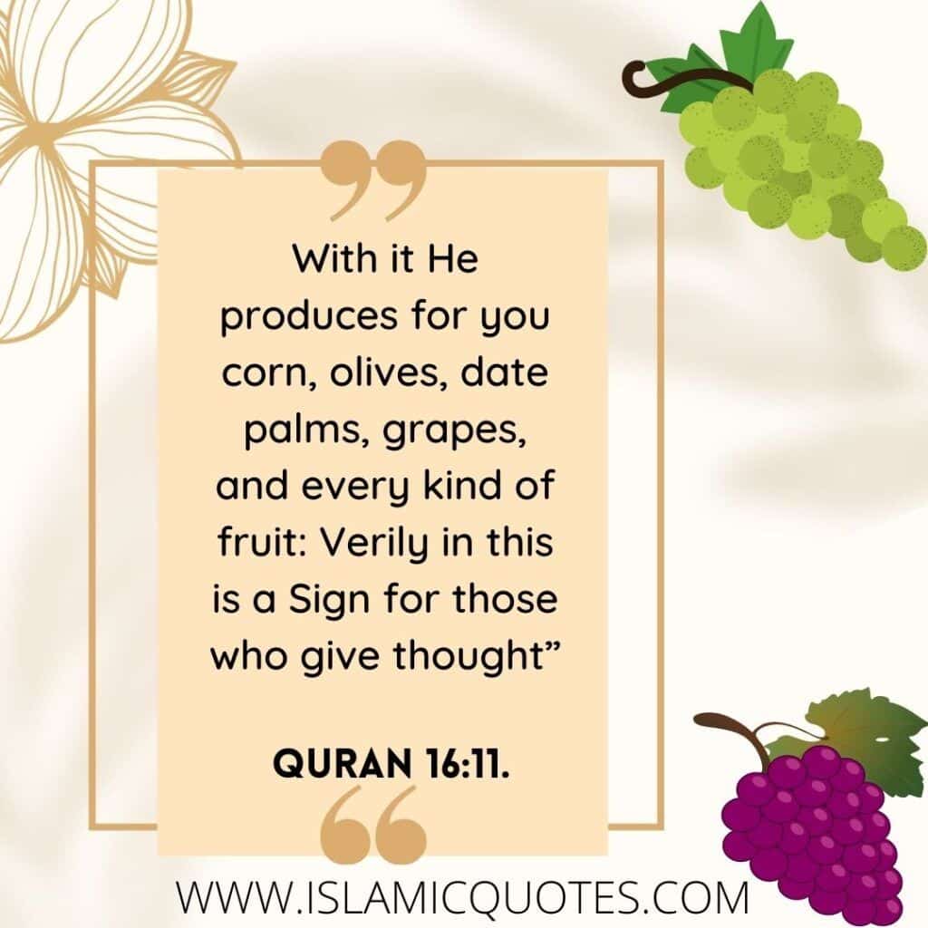 Prophet Muhammad's Favorite Food