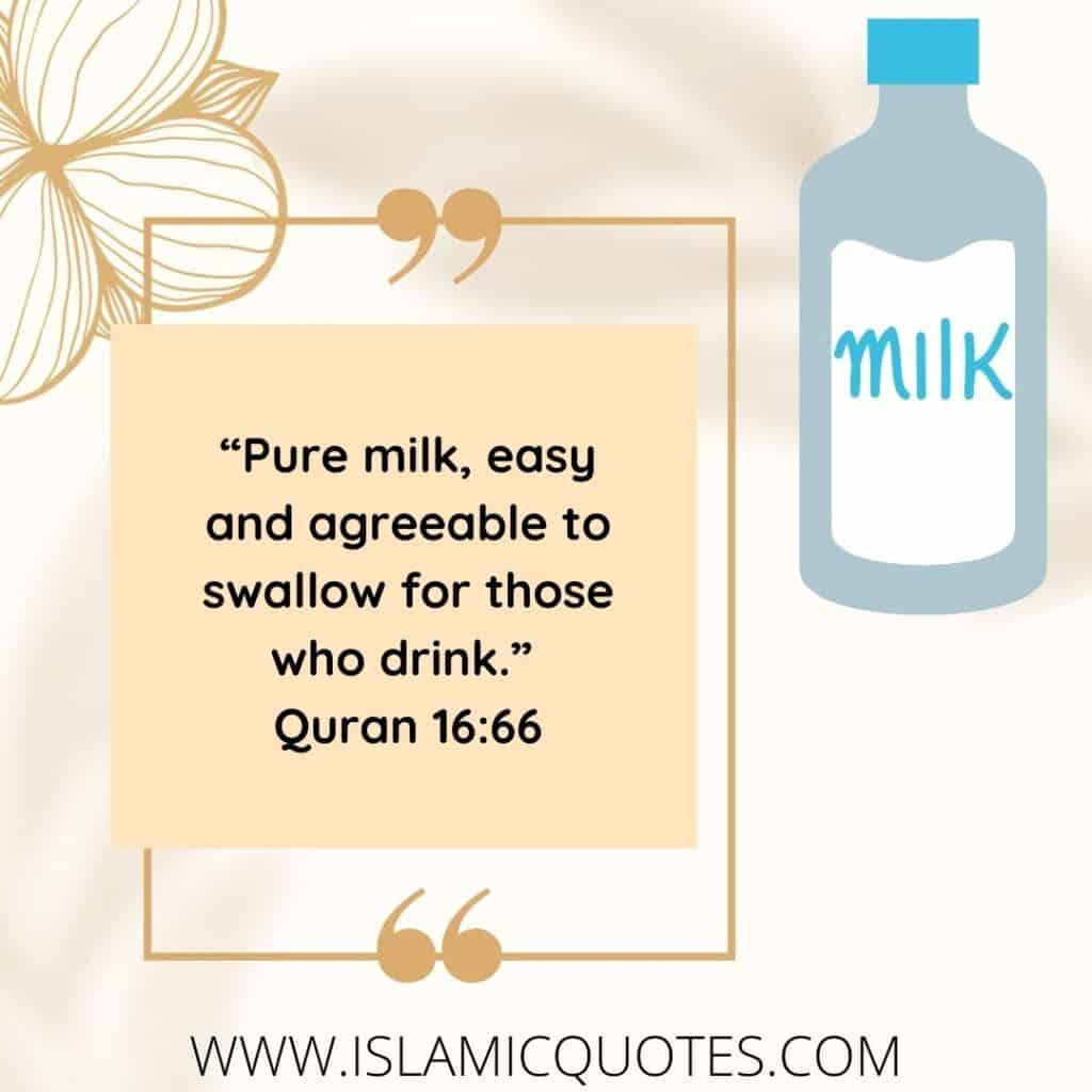 15 of Prophet Muhammad's Favorite Food Items & Their Benefits  's Favorite Food