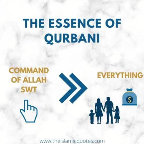 12 Things You Need to Know About Eid ul Adha & Qurbani Rules  