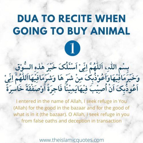 12 Things You Need to Know About Eid ul Adha & Qurbani Rules  