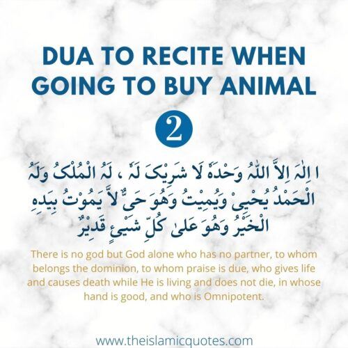 12 Things You Need to Know About Eid ul Adha & Qurbani Rules  