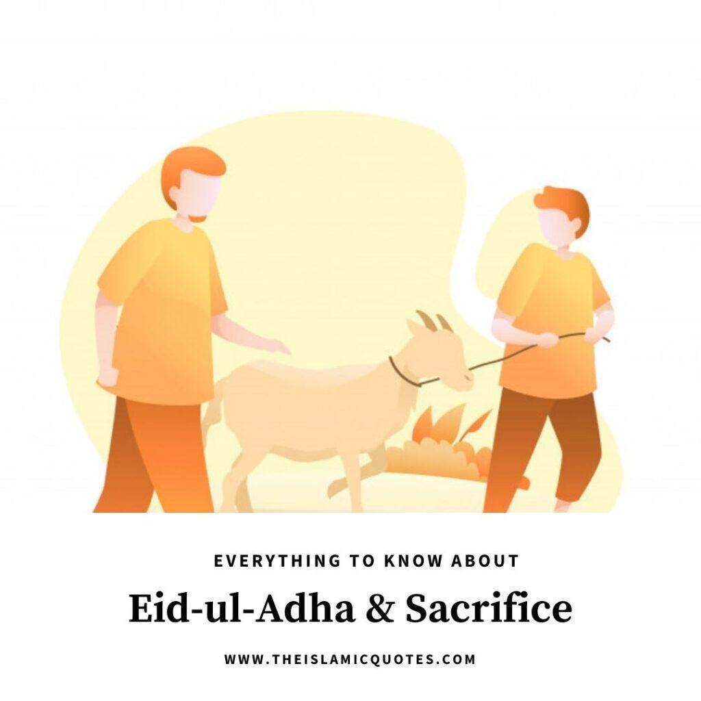 12 Things You Need to Know About Eid ul Adha & Qurbani Rules  