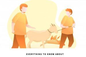 12 Things You Need to Know About Eid ul Adha & Qurbani Rules  