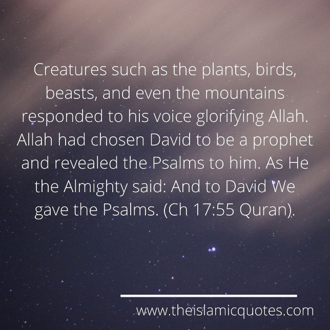 Quranic Verse