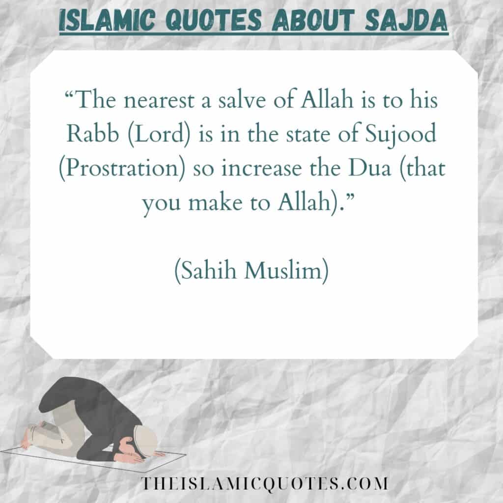 6 Islamic Quotes on Sajda: Meaning & Significance of Sajda  