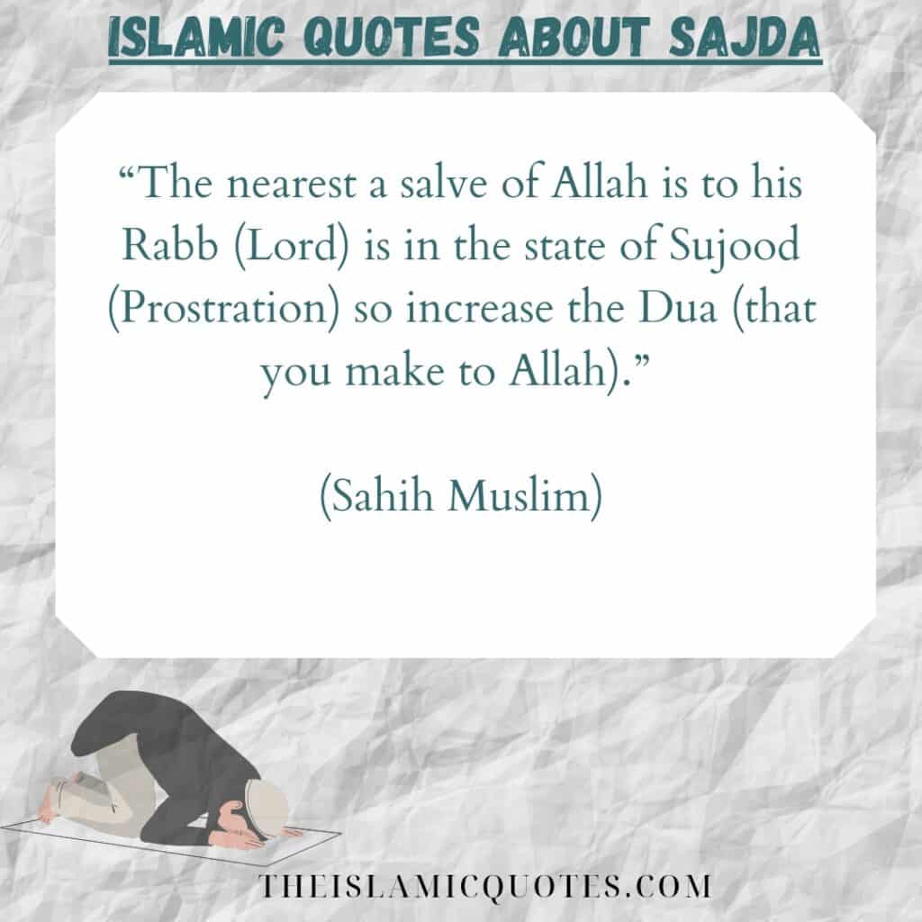 Sajda in Islam 