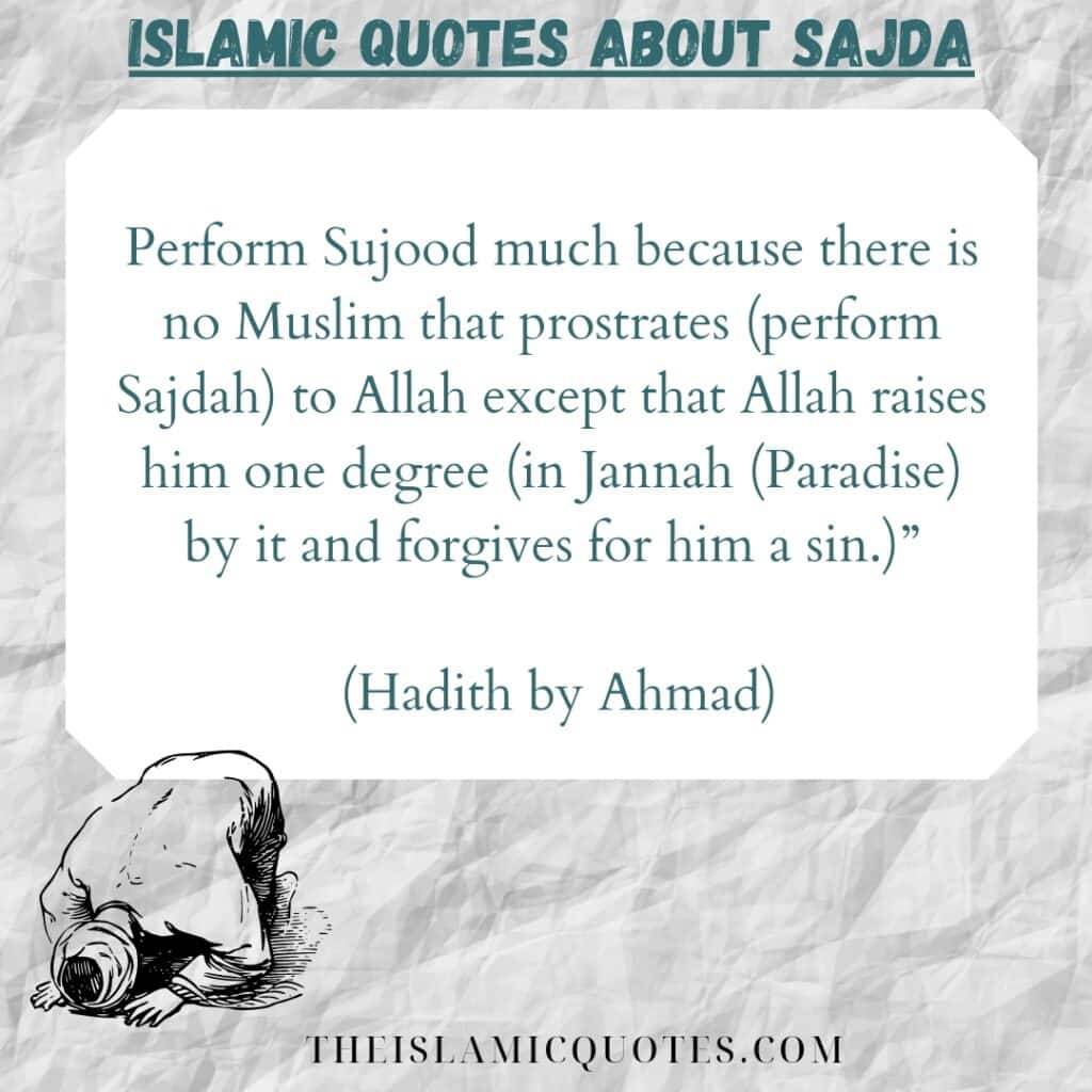 6 Islamic Quotes on Sajda: Meaning & Significance of Sajda  