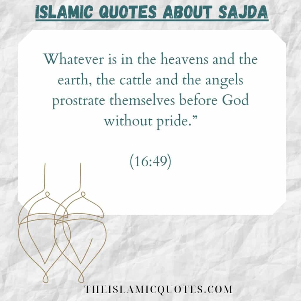 Islamic Quotes on Sajda