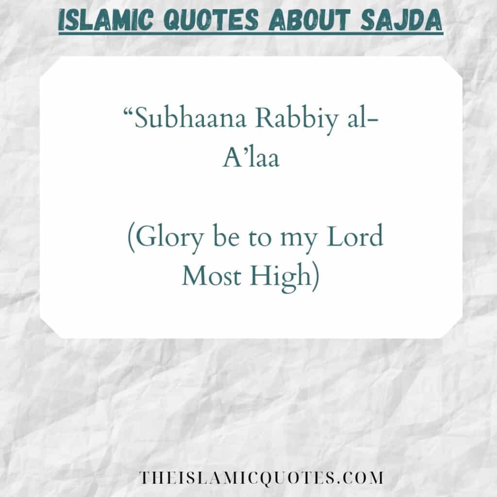 6 Islamic Quotes on Sajda: Meaning & Significance of Sajda  