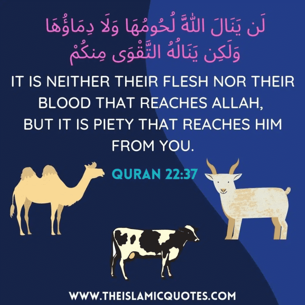significance of dhul hijjah
