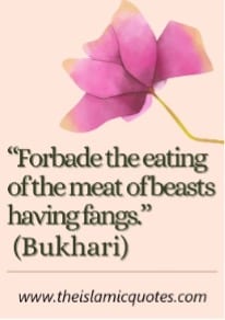 Complete List of Halal and Haram Food Items in Islam Complete List of Halal and Haram Food Items in Islam