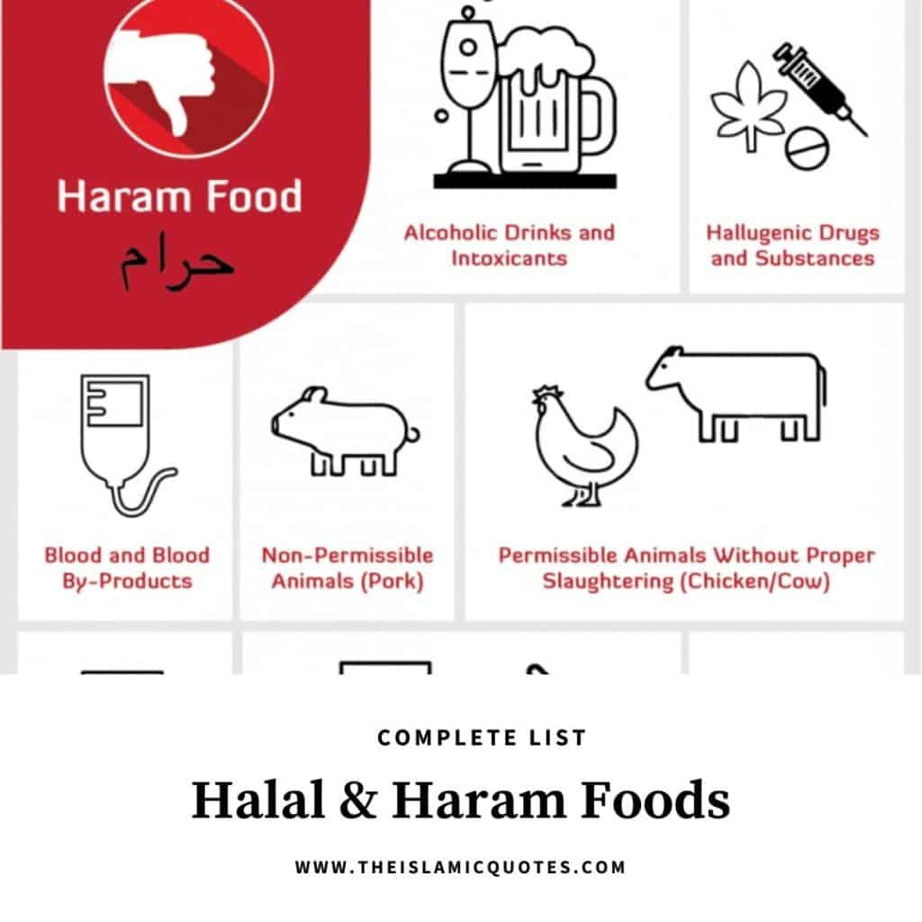 Complete List of Halal and Haram Food Items in Islam  