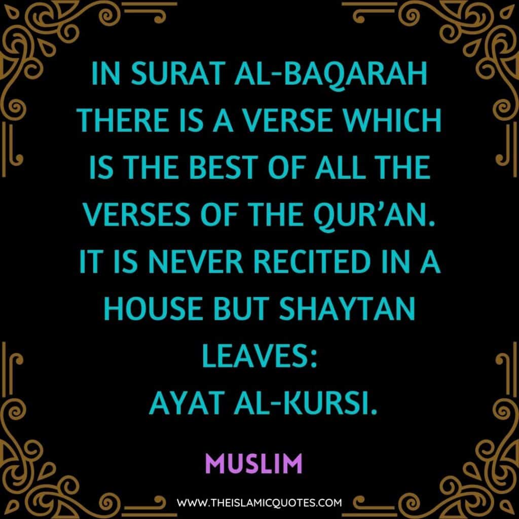 10 Benefits of Surah Baqrah & Its Importance for Muslims  